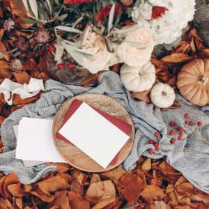Snail-mail subscription-Teatimely