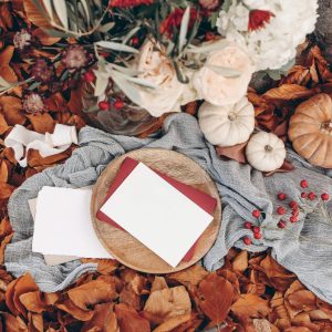 Joy Notes by Z (6 Months)
